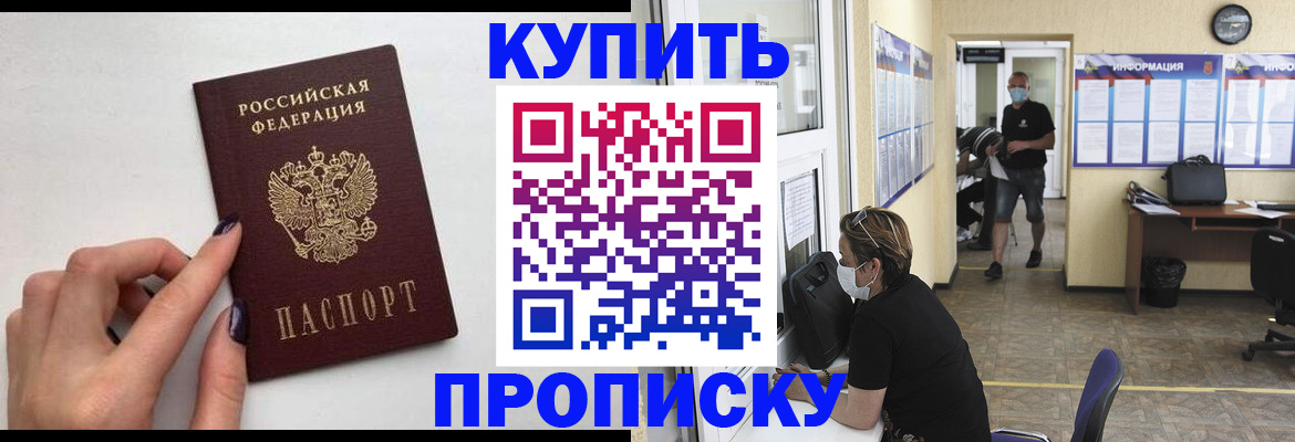 прописка гарантия в Новозыбкове